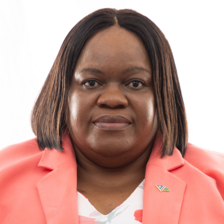 Namibia to amend immigration control act to accommodate five year business visa