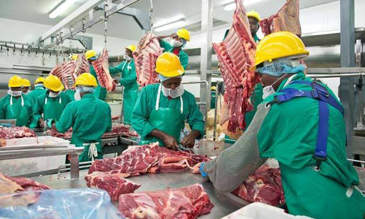 FMD threatens to ground N$6 billion meat industry 