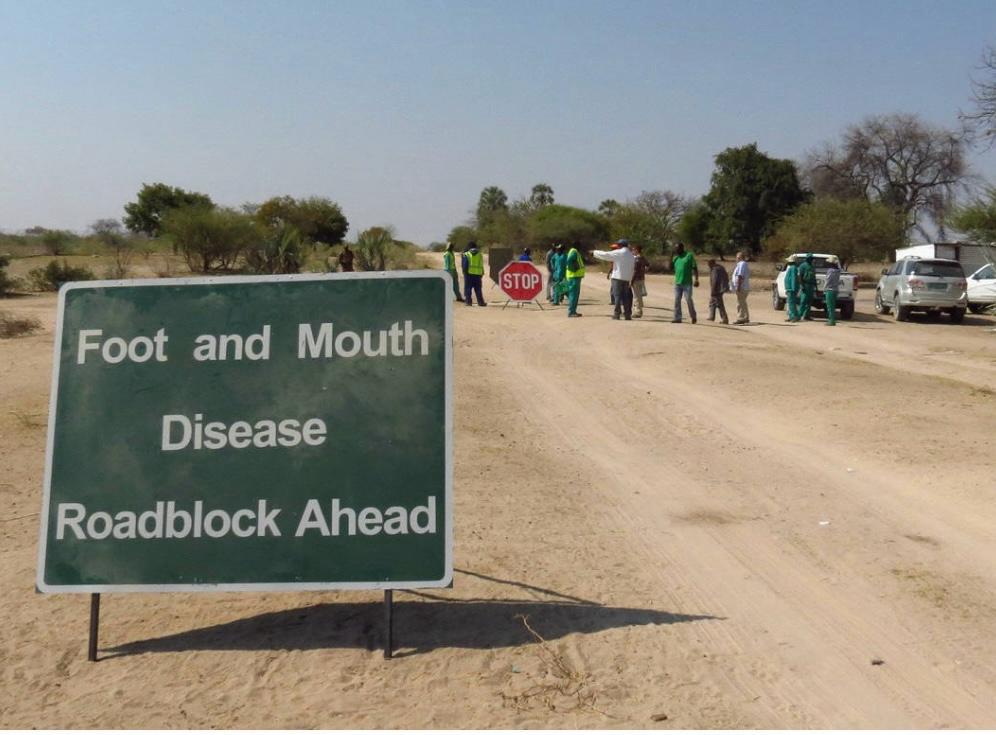 Foot and Mouth detected in Zambezi region 