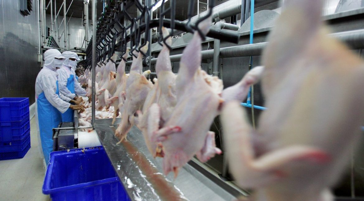 Namibia imports chicken worth N$53.4 million from Brazil,USA Namibia imports chicken worth N$53.4 million from Brazil,USA